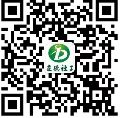 热逼动漫黑丝